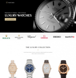 Luxury Watches Store